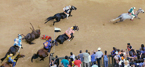 Il I S.Martino con la caduta del DRAGO