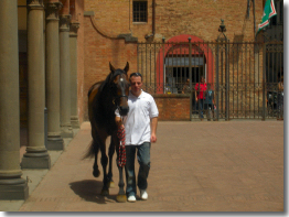 Il barbero nel Portico.....