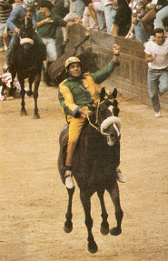 Cianchino su Rose Rosa vittoria del 16 agosto 1996.