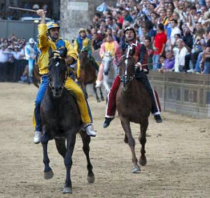 Trecciolino fa 12 e la TARTUCA resta in paradiso.