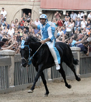 Trecciolino ha appena portato l'ONDA al trionfo.