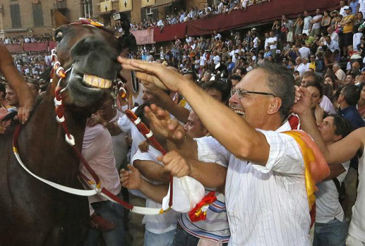 Lo Specialista ci mostra i denti.