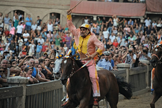 Scompiglio alza il nerbo: E' MONTONE !!!