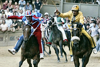 L'ultima vittoria della Contrada della Pantera risale al 2 Luglio 2006.