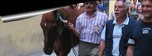 Il cavallo  preso in consegna e portato in Contrada