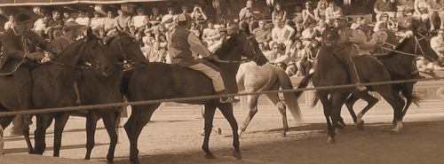 Fantini e cavalli al canape durante una prova