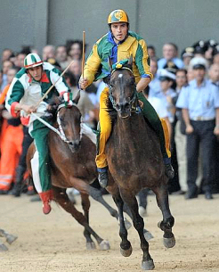 Gingillo ed Elisir di Logudoro portano il BRUCO in paradiso.